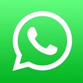 whatsapp在线版