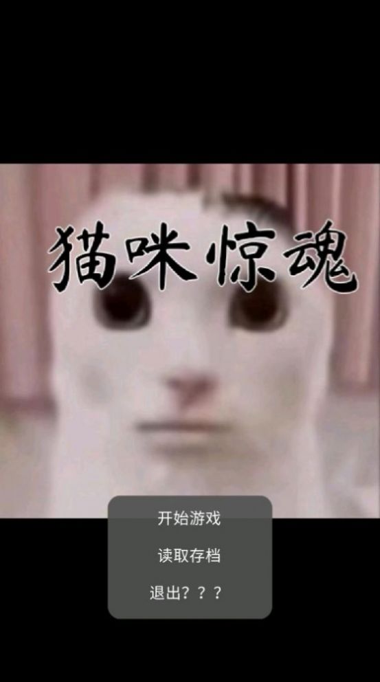 猫猫惊魂中文版