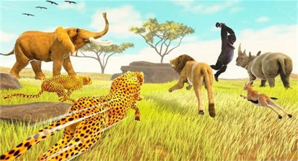 热带草原动物赛跑3D