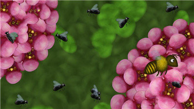 小蜜蜂吃地球