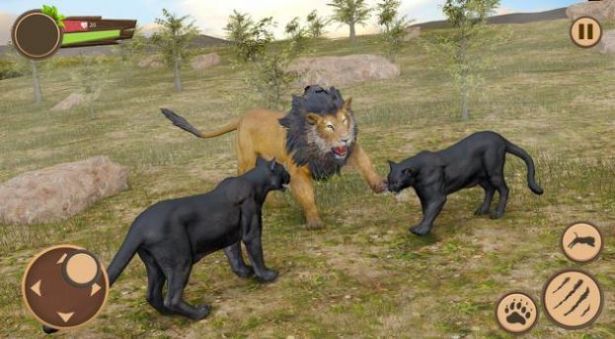 黑豹野外生存模拟