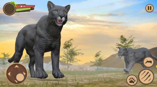 黑豹野外生存模拟