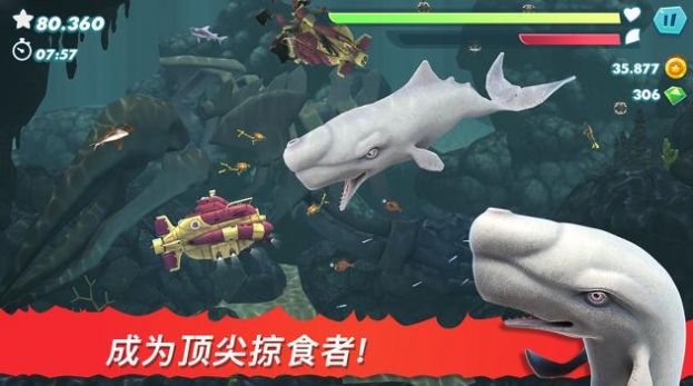 饥饿鲨进化999999钻无限金币版