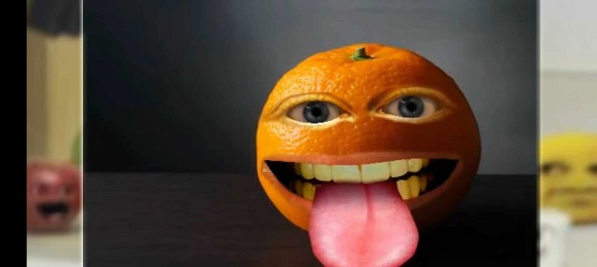 会说话的橙子