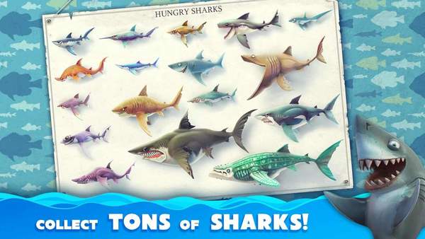 饥饿鲨鱼世界无限钻石版