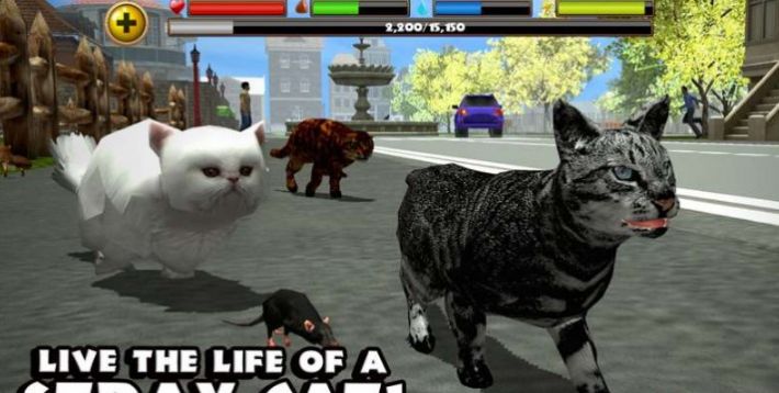 模拟流浪猫游戏