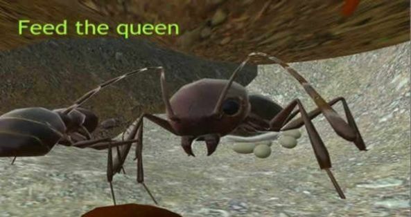 3d蚂蚁模拟器中文版