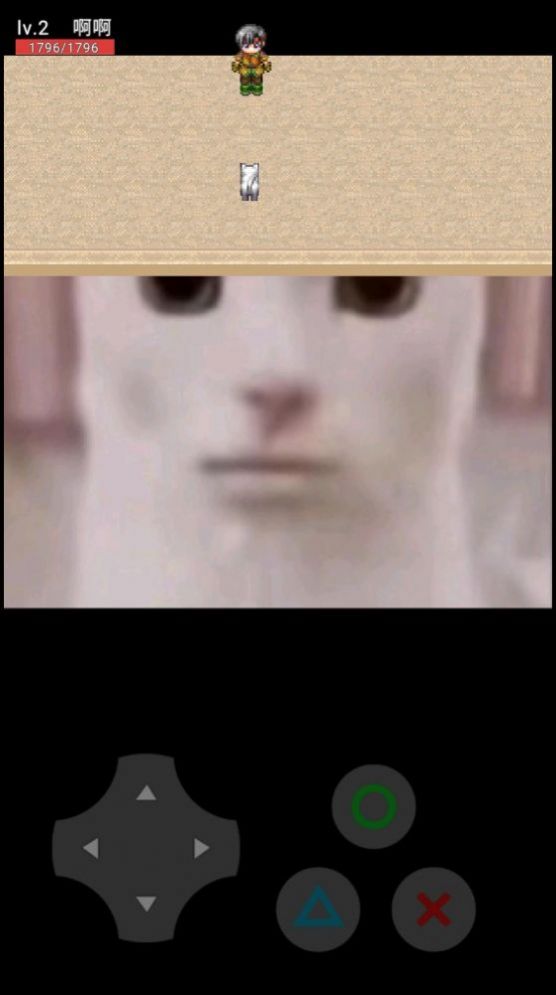 猫猫惊魂安卓版
