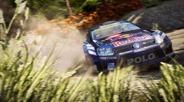 WRC 7巴音布鲁克